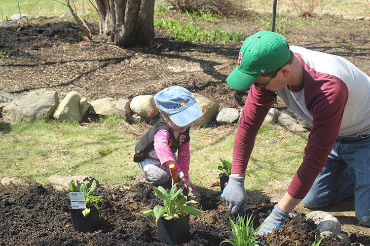 Plant A Native Pollinator Garden