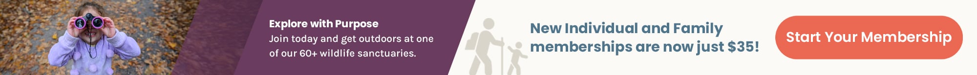 Girl with binoculars