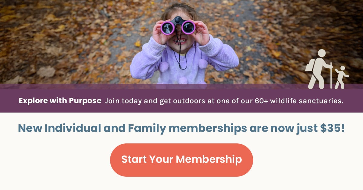 Girl with binoculars