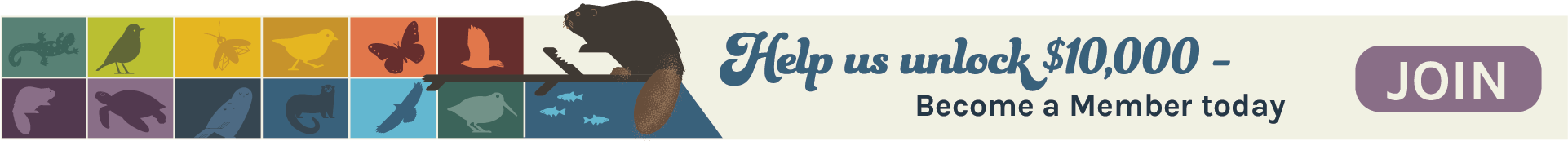 Colorful graphic with icons of birds and mammals, a bigger graphic of a beaver and words that say Help us unlock $10,000...Become a member today.