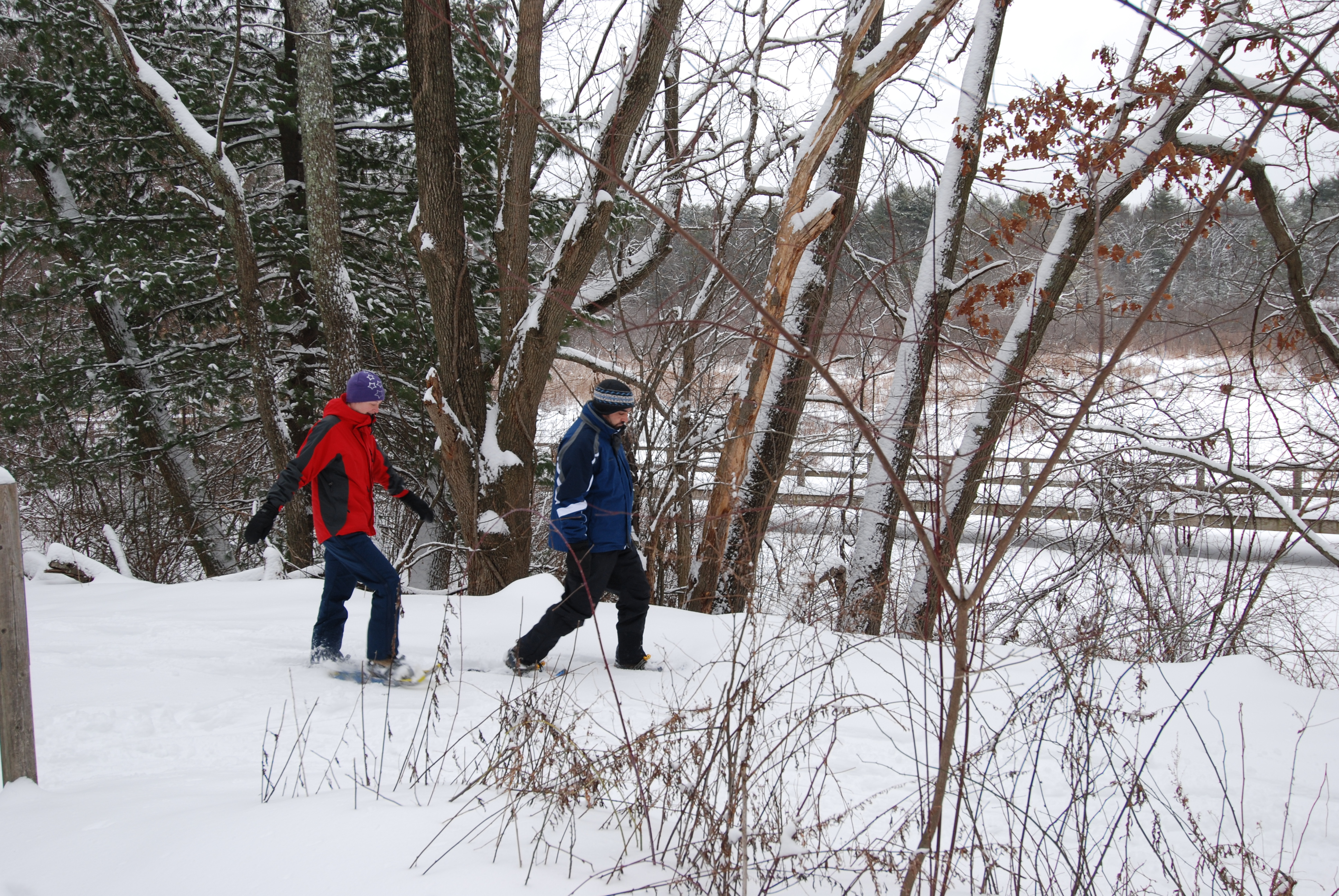 People walking in the snow