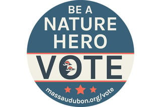 Be a Nature Hero - Vote! button
