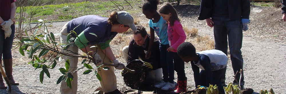 Boston Nature Center volunteers planting a tree
