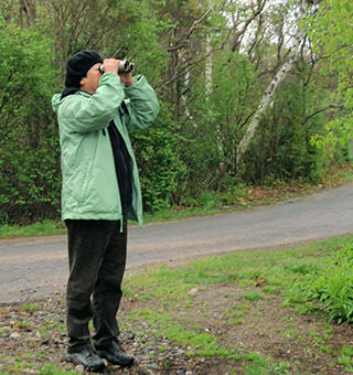 Birder