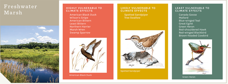 SotB3 results for Freshwater Marsh