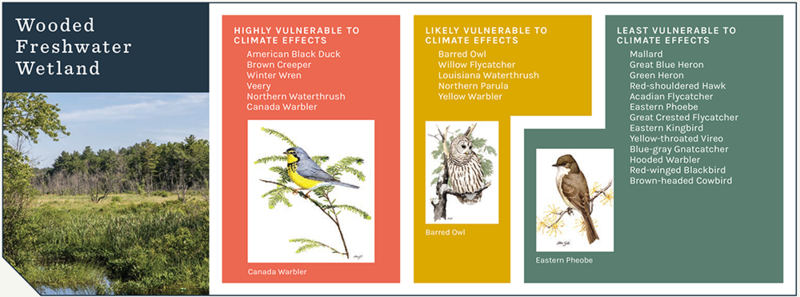 SotB3 results for Wooded Freshwater Wetland