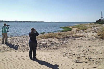 Two birders spread out from each other on a beach
