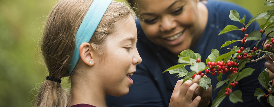 Girl examining a holly bush with her mother