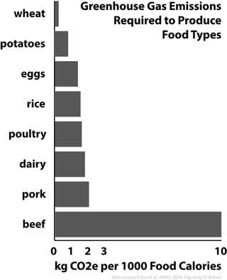 Beef carbon footprint resource use graph