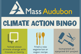 Climate Action Bingo card