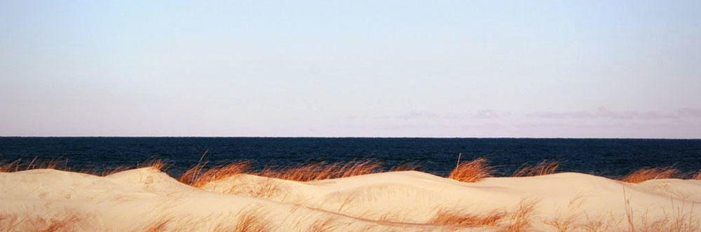 Dunes and ocean © Lucy Loomis