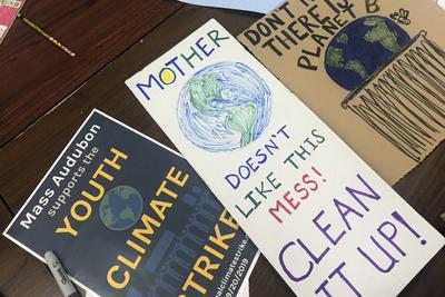 Handmade signs at a climate strike rally in Boston