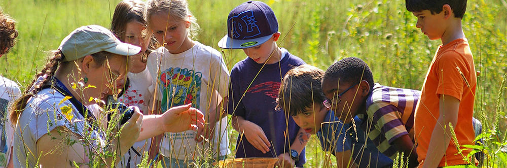 Kids in the field at Moose Hill (Photo: Patti Steinman)