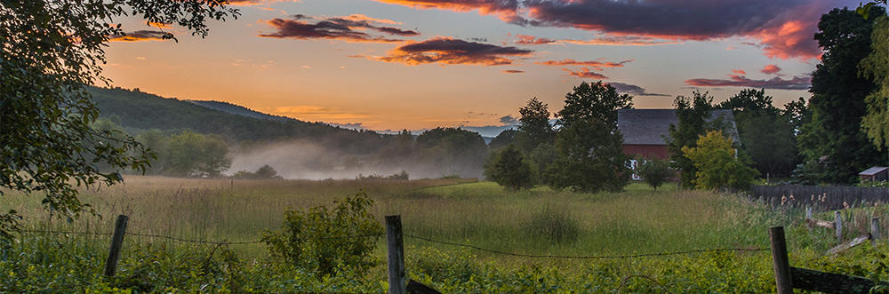 Farm meadow at sunset © Nick Sarfaty Jackson