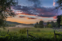 Farm meadow at sunset © Nick Sarfaty Jackson