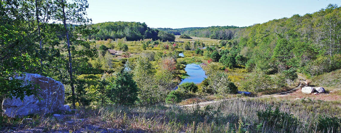 Overlook at Tidmarsh Wildlife Sanctuary by Bob Wilber