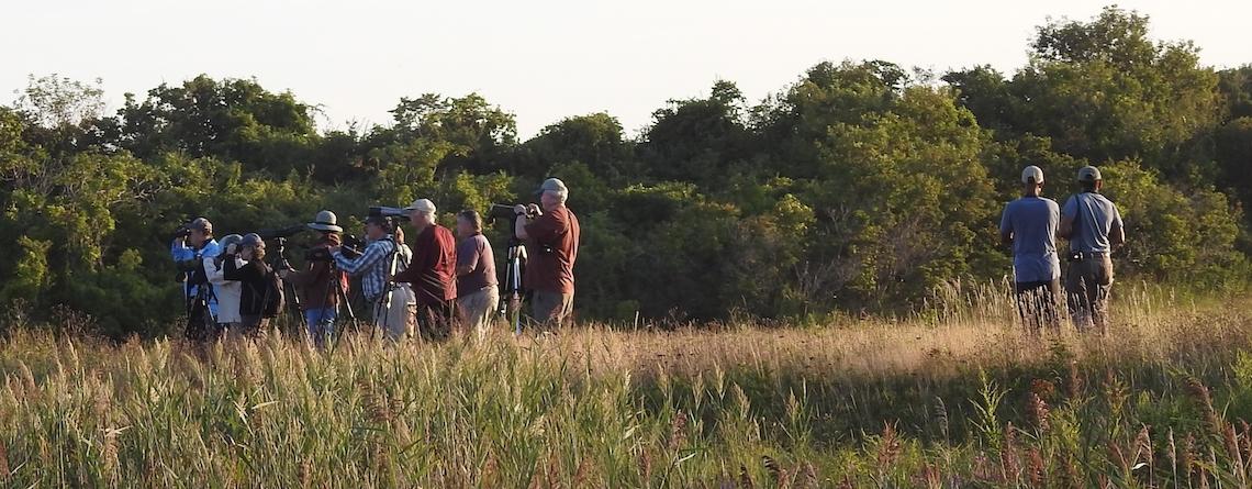 Adults birding copyright Emily Szczypek