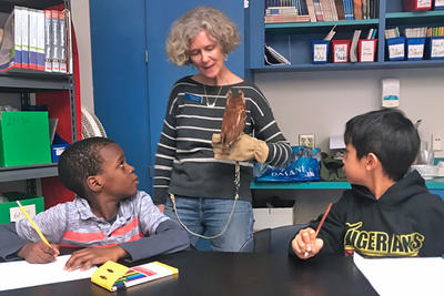 An educator naturalist showing a live Eastern Screech Owl to classroom students