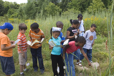 Grade 3 students exploring the garden at Boston Nature Center