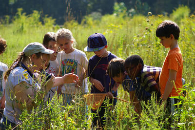 A Mass Audubon educator leads a group of young people in an activity in a sun-lit meadow