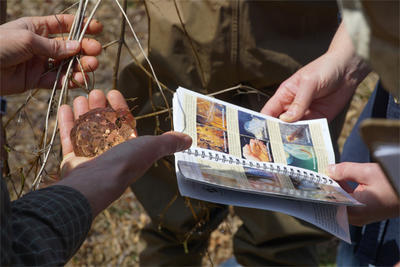 Looking at eggs from a vernal pool