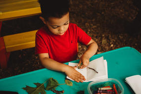 A young boy in a red shirt plays with leaves and other natural objects at a table