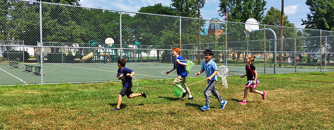 Students exploring a local park with insect nets