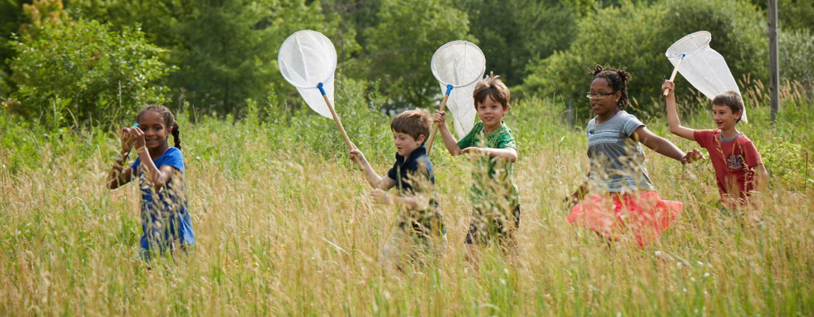 Students exploring a meadow with insect nets at BNC