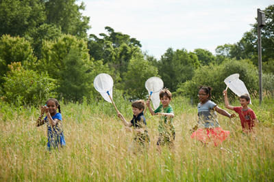 Students exploring a meadow with insect nets at BNC