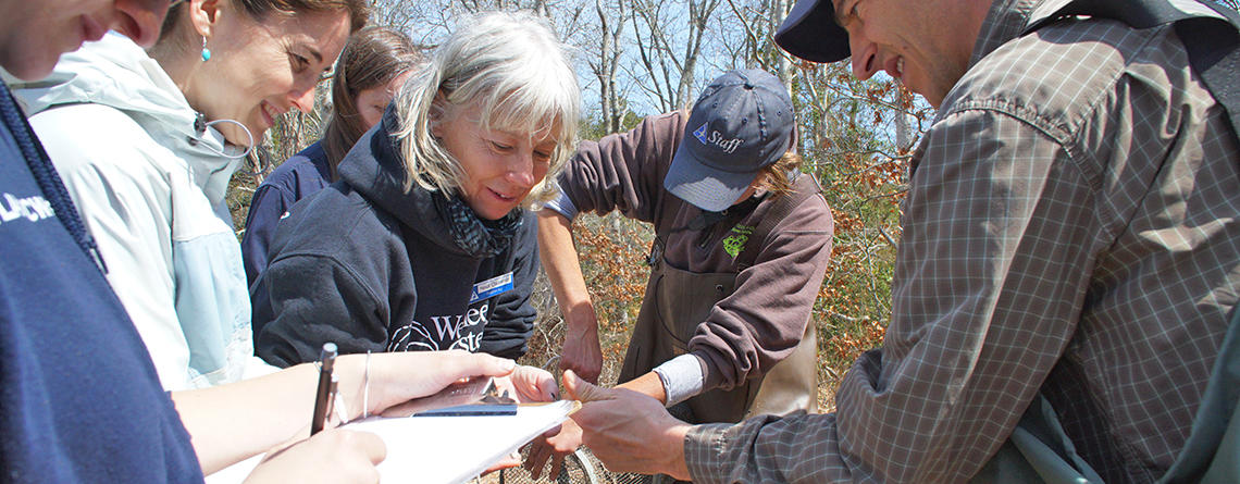 Teacher professional development training about wetlands at Ashumet Holly Wildlife Sanctuary