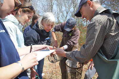 Teacher professional development training about wetlands at Ashumet Holly Wildlife Sanctuary