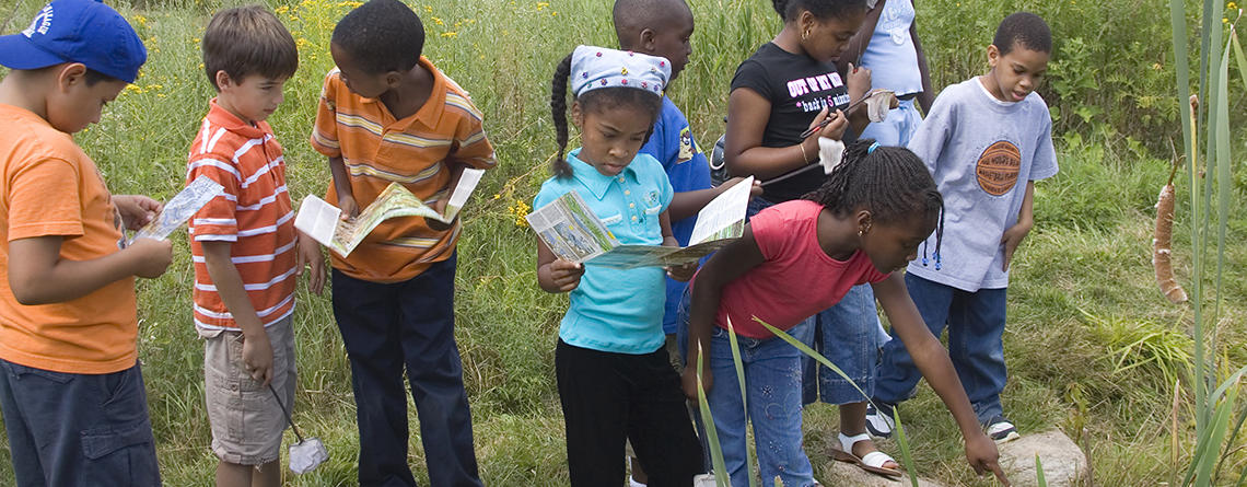 Grade 3 students exploring the garden at Boston Nature Center