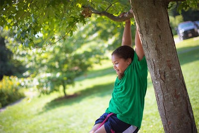 Young girl playing in a tree