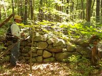 Stone wall on land in Dudley