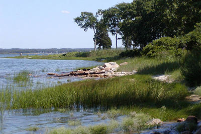 Beach on Sacred Hearts property