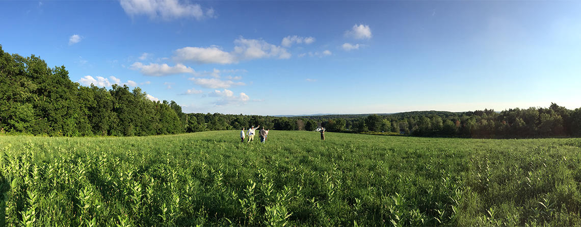 People exploring a meadow at Fieldstone Farm