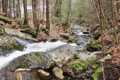 Galloway Brook on the Trifilo property in Barre