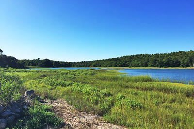 Land that was protected in 2020 at Great Neck Wildlife Sanctuary