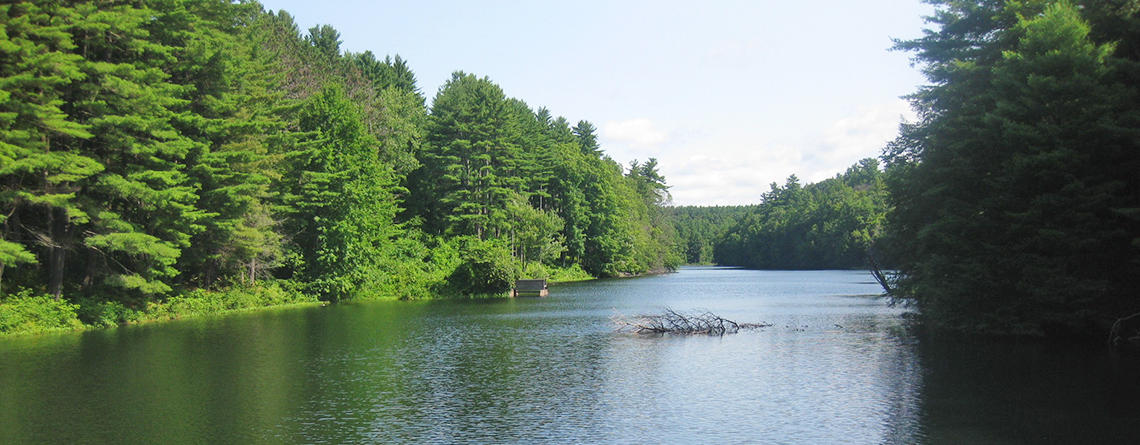 Looking north from the dam at Bear Hole Reservoir