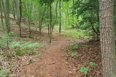 Macdowell Trail on land donated by Carroll School