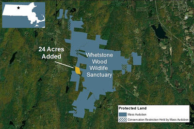 Map showing the Wetherby property adjacent to Whetstone Wood Wildlife Sanctuary