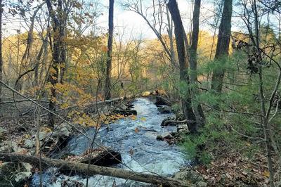 Pequid Brook along Main Loop Trail at MABA