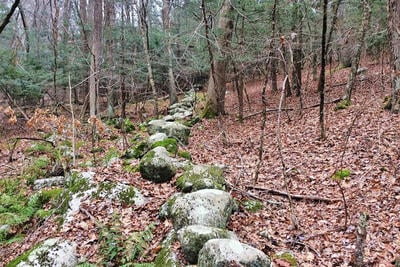 A mossy stone wall on the protected 60-acre Poitras property
