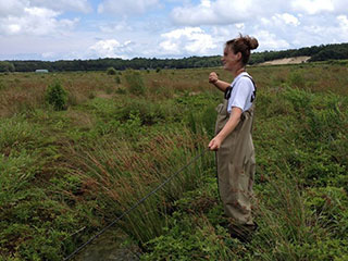UMass grad student Danielle Hare © MA Division of Ecological Restoration