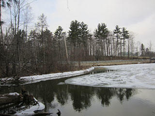 Tracy Brook pond