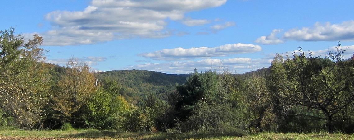 View of the landscape around the Minery property in Western Mass