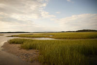 Wellfleet Bay marsh in late afternoon summer