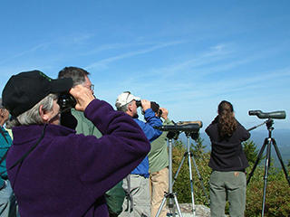 a group of bird watchers