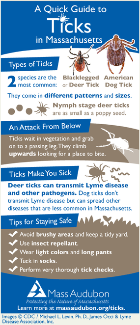 Ticks Quick Guide