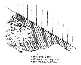 Mesh to close up an animal hole solution 1